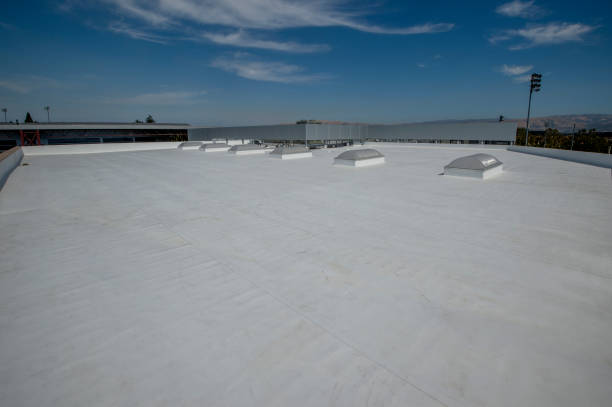 Best Roof Coating Services  in Myrtle Point, OR